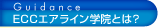 Guidance�@ECC�G�A���C���w�@�Ƃ́H
